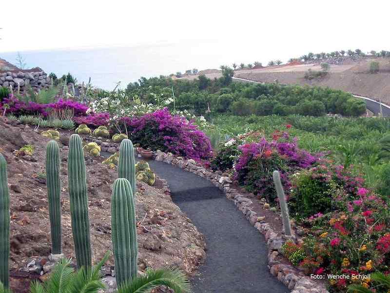 La Lajita Oasis Park, Fuerteventura