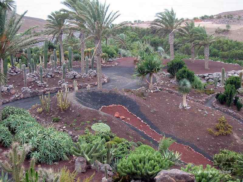 La Lajita Oasis Parc, Fuerteventura