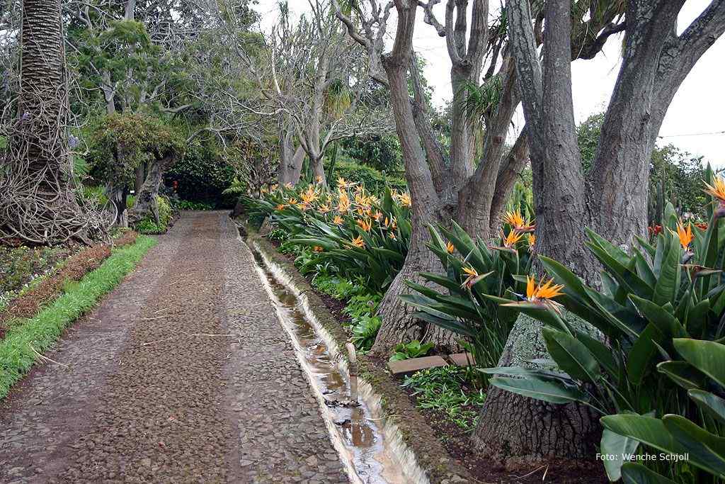 Botanisk hage, Funchal - Madeira