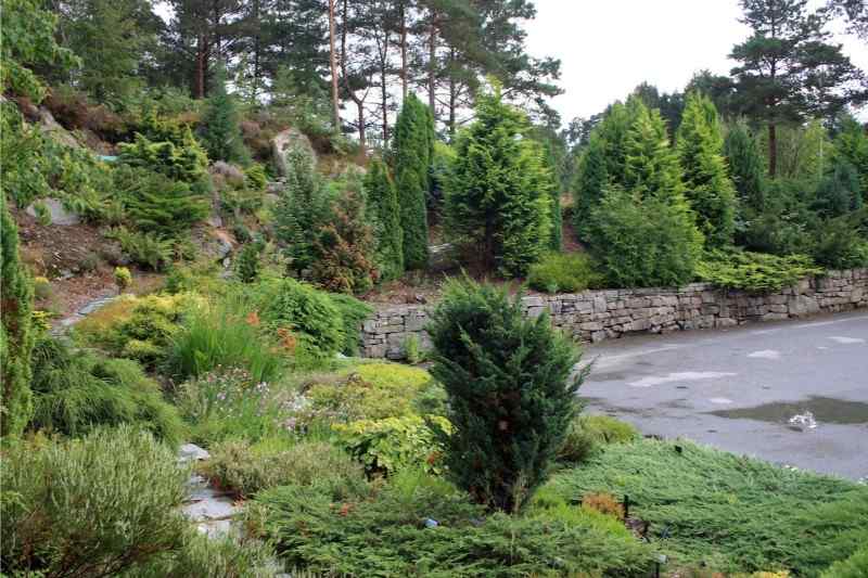 Arboretet i Bergen