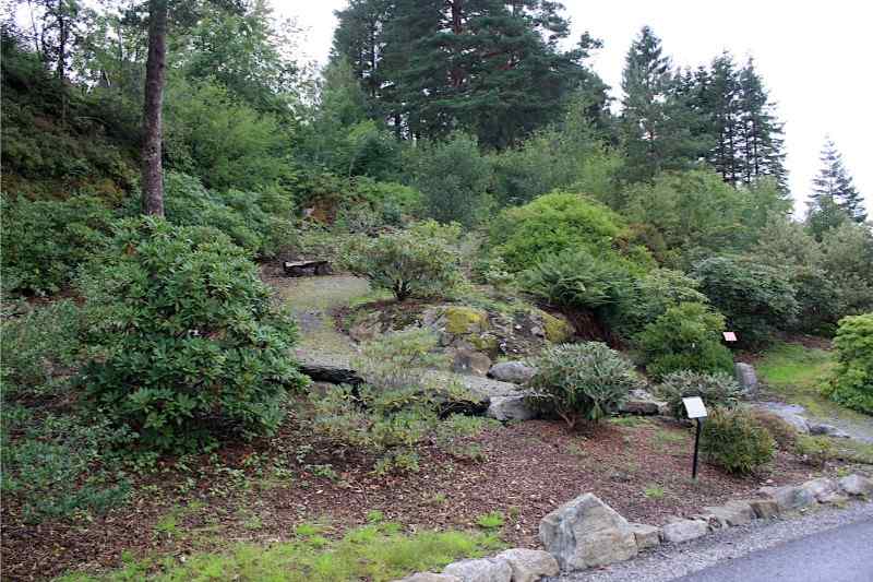 Arboretet i Bergen