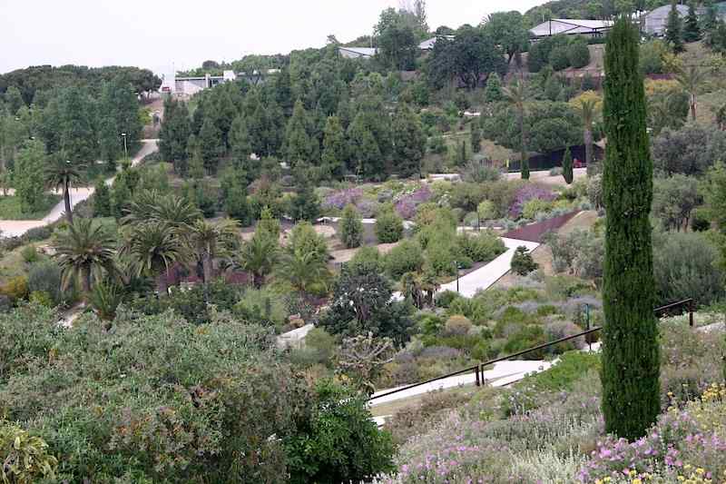 Botanisk hage, Barcelona