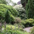 Bath Botanical Garden