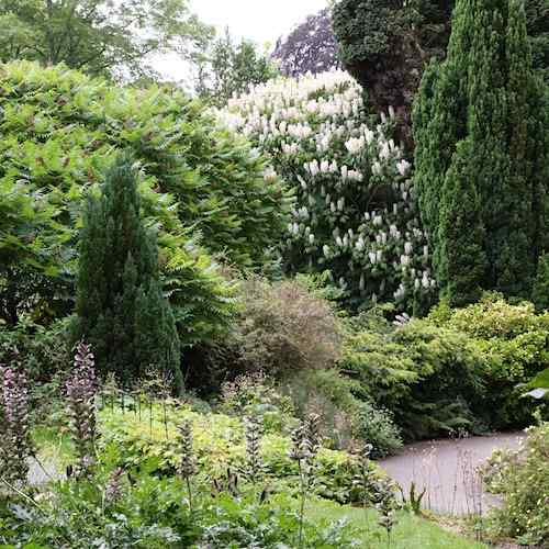 Bath Botanical Garden