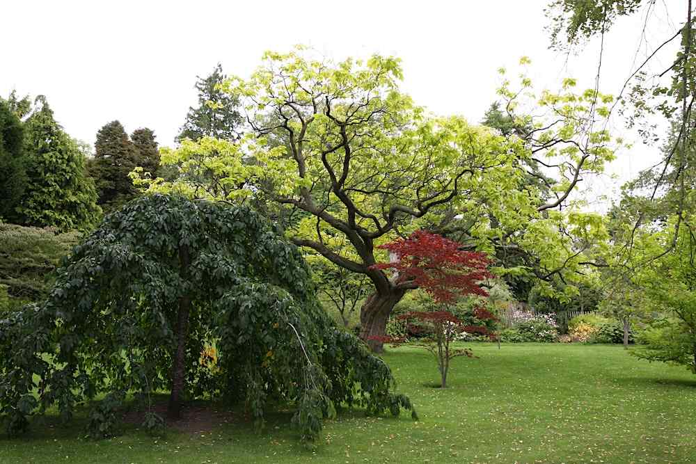 Bath Botanical Garden