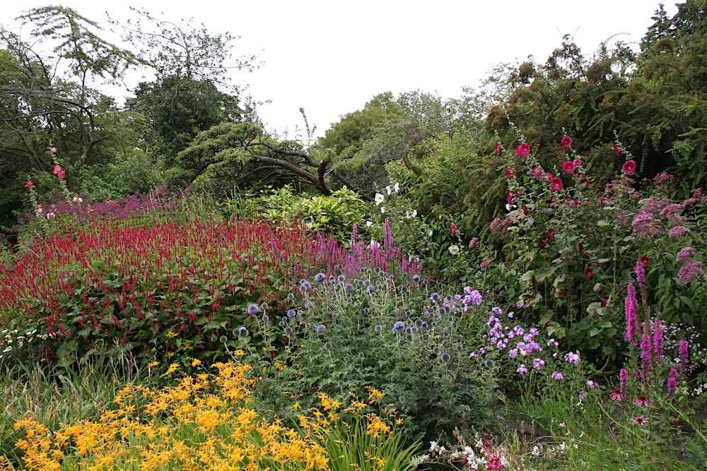 Bath Botanical Garden