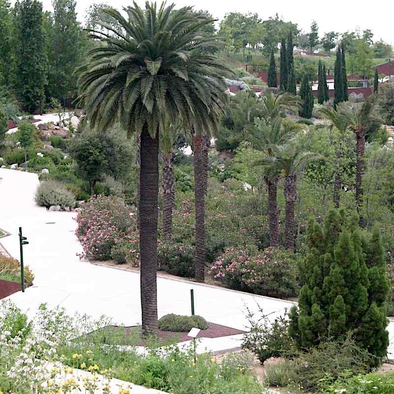 Botanisk hage, Barcelona