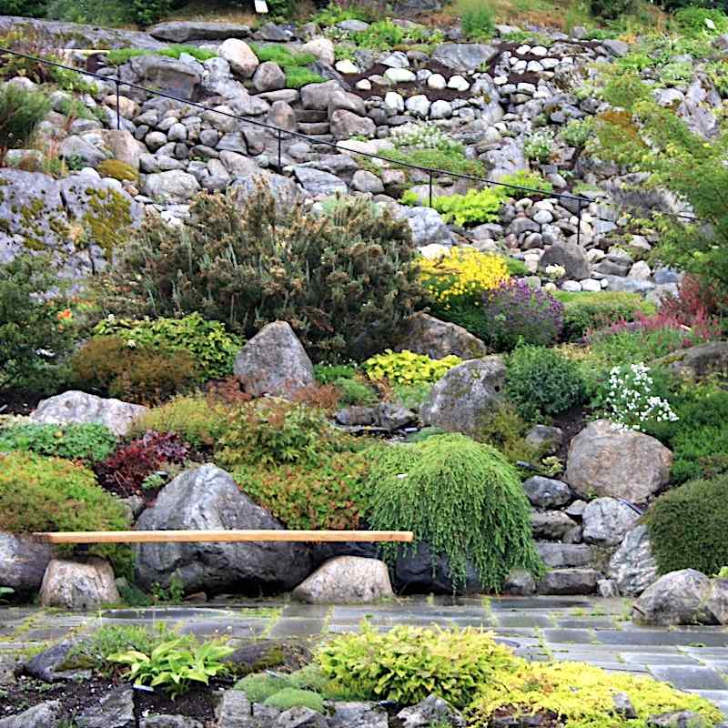 Botanisk hage, Bergen