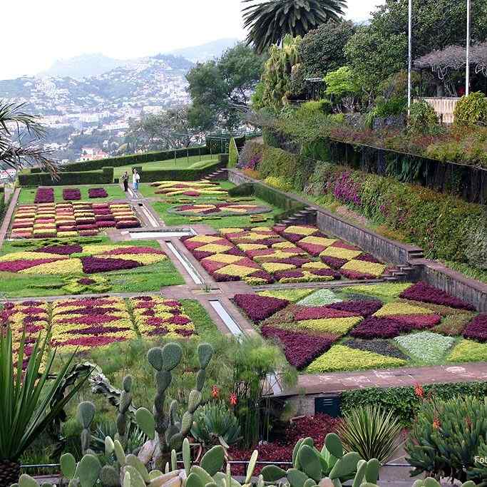 Botanisk hage, Funchal – Madeira