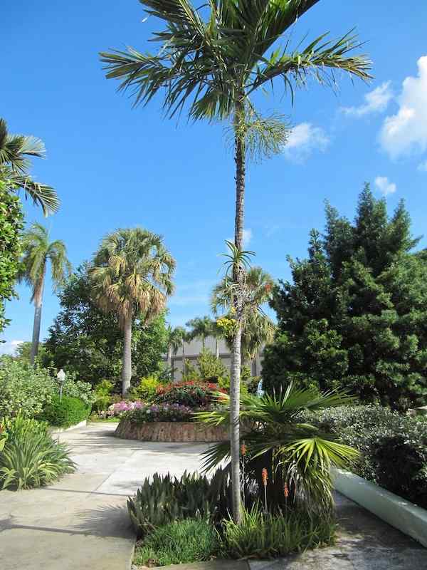 Botanical Garden, Miami