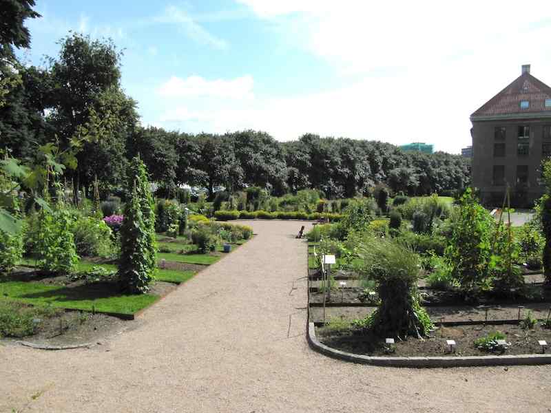 Botanisk hage Oslo