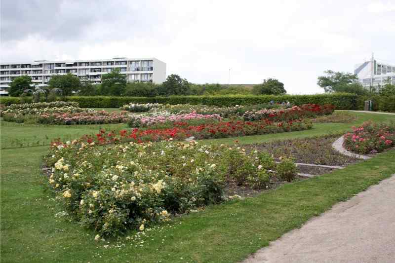 Århus botaniske have
