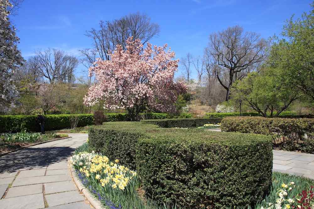 Central Park, New York