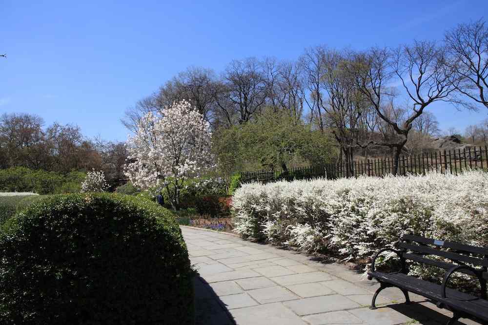 Central Park, New York