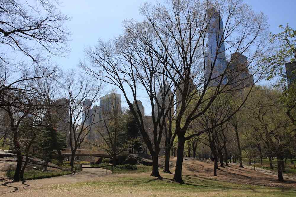 Central Park, New York