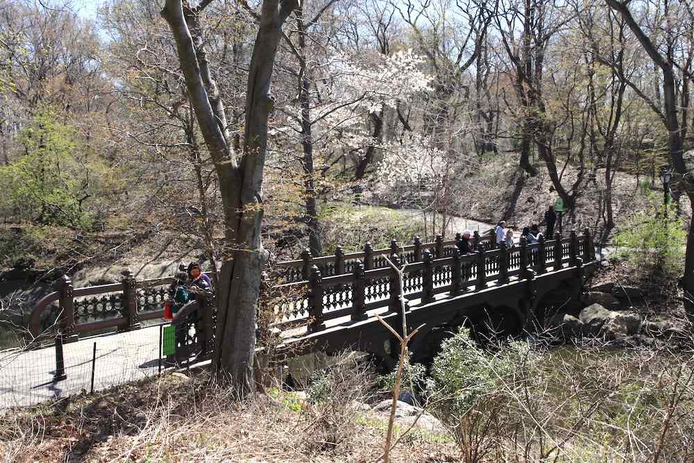 Central Park, New York