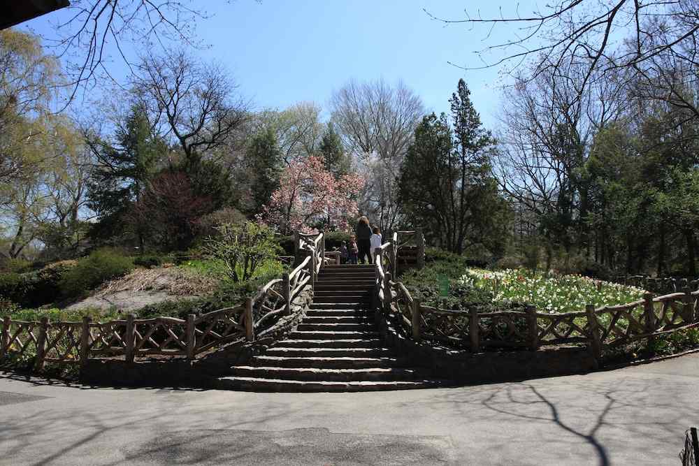 Central Park, New York