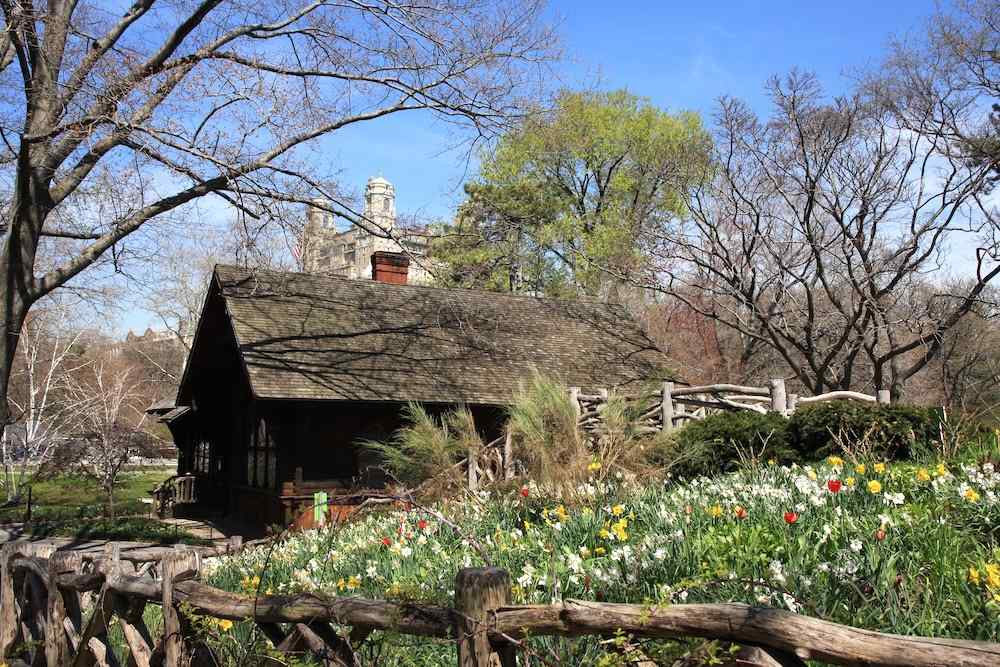 Central Park, New York