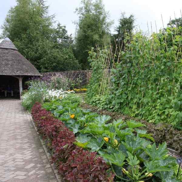 Cottage Garden Grønnsakshage
