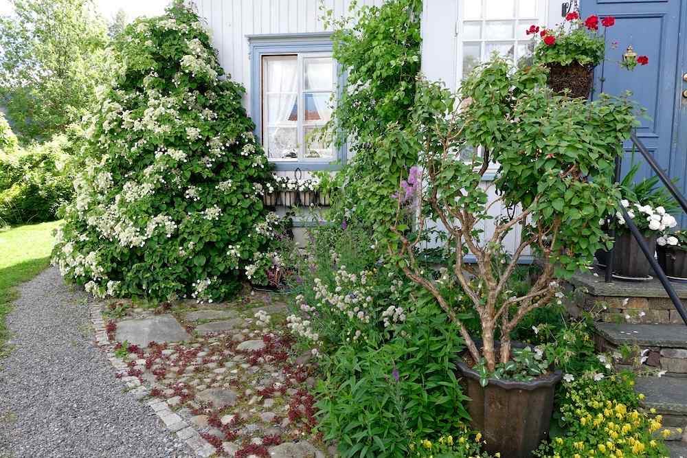 Fredholm hageopplevelser