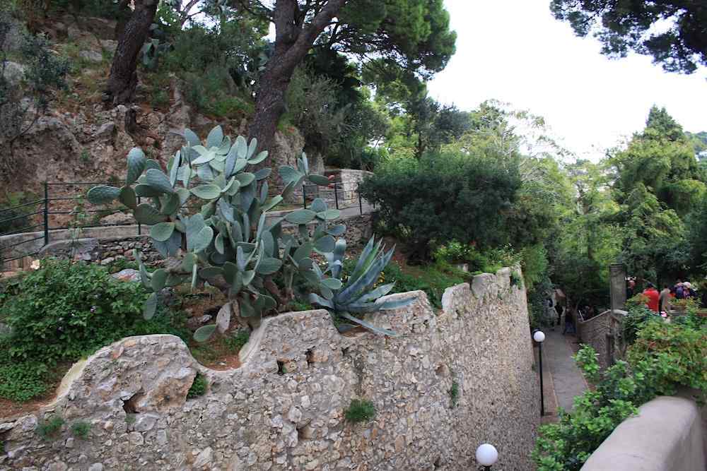 Giardini Augusto Capri