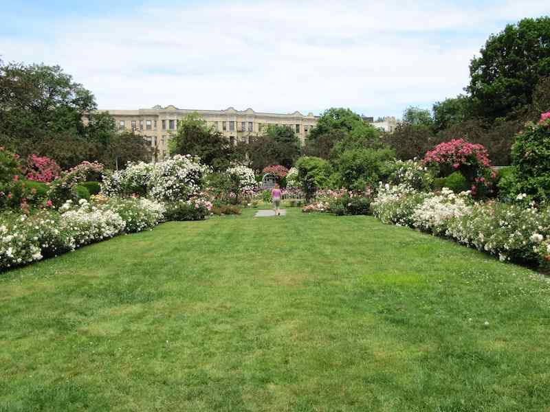 James P. Kelleher Rose Garden, Boston