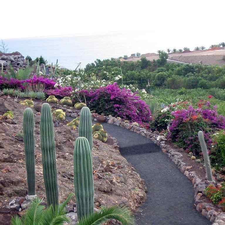 La Lajita Oasis Park, Fuerteventura