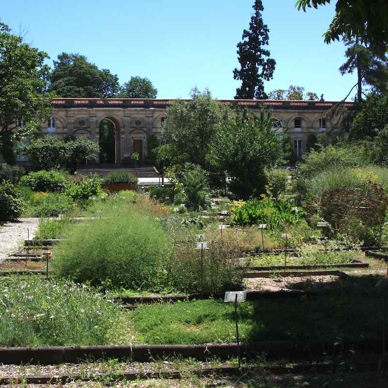 Le jardin public, Bordeaux
