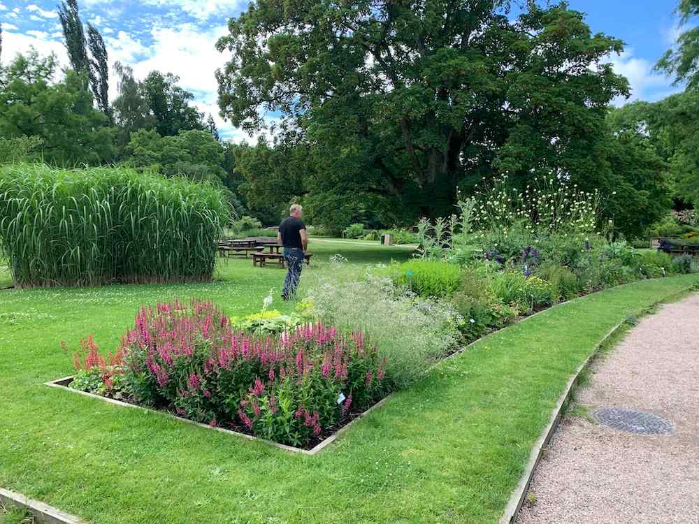 Lund botaniske hage