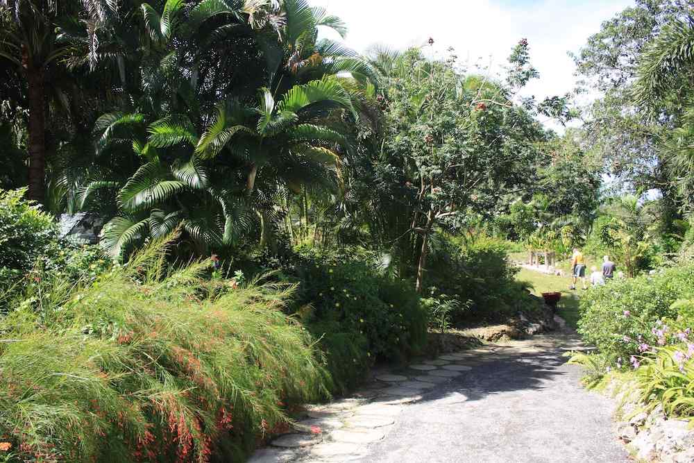 Orchid World, Barbados