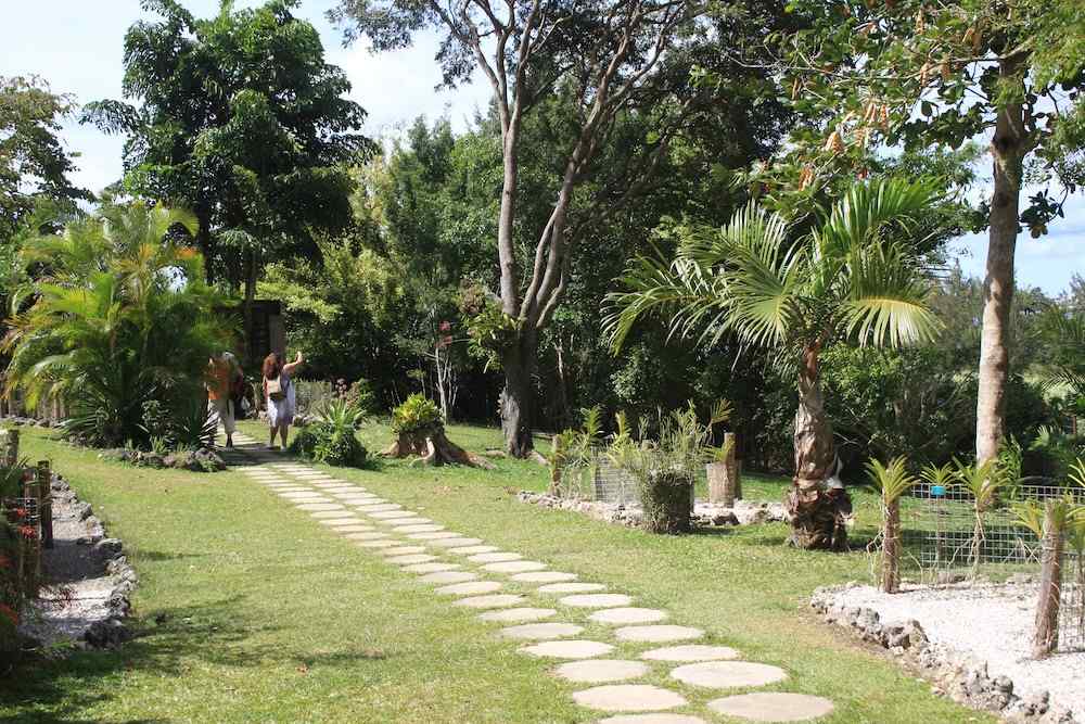 Orchid World, Barbados