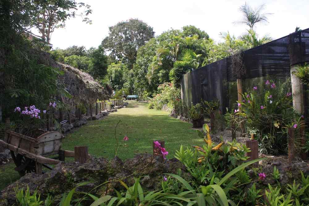 Orchid World, Barbados