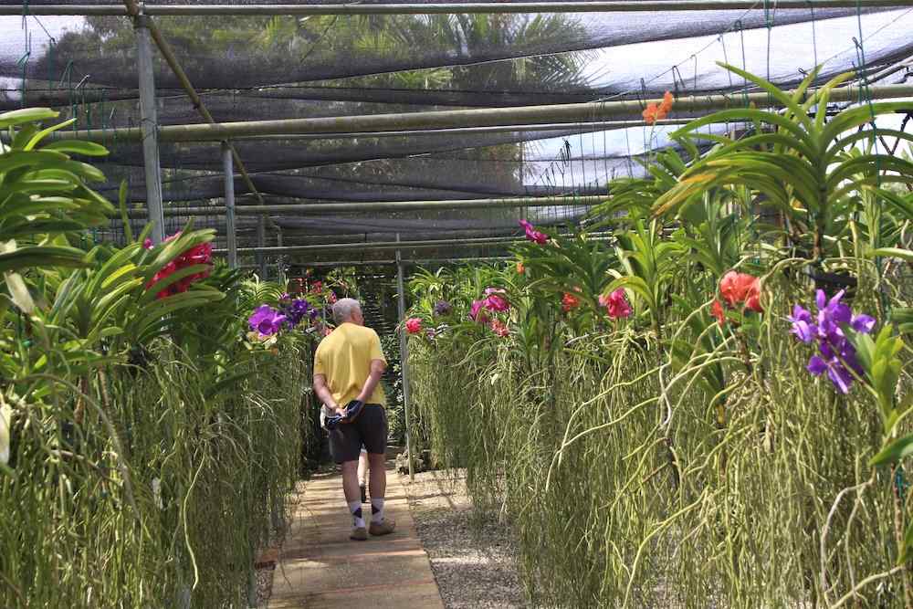 Orchid World, Barbados