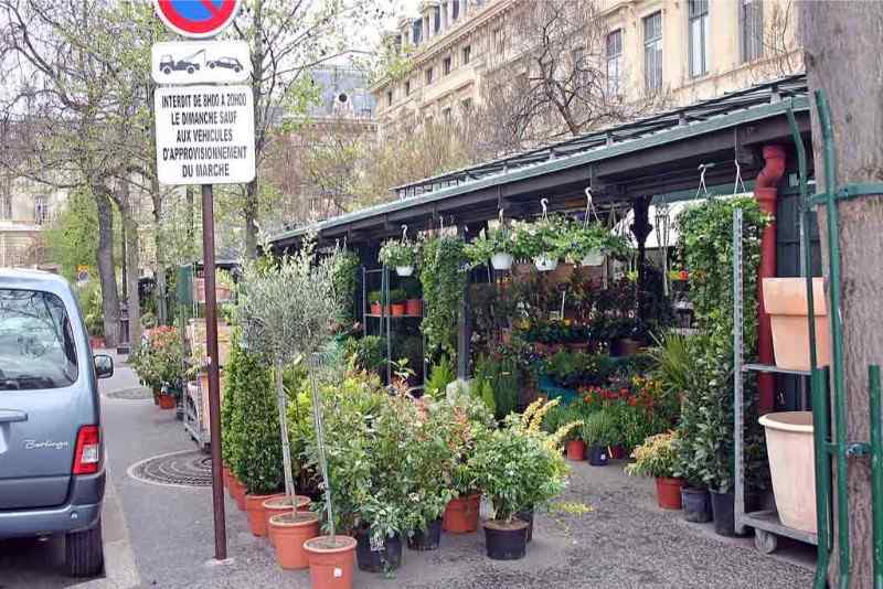 Marche aux Fleurs, Paris - Plantemarked