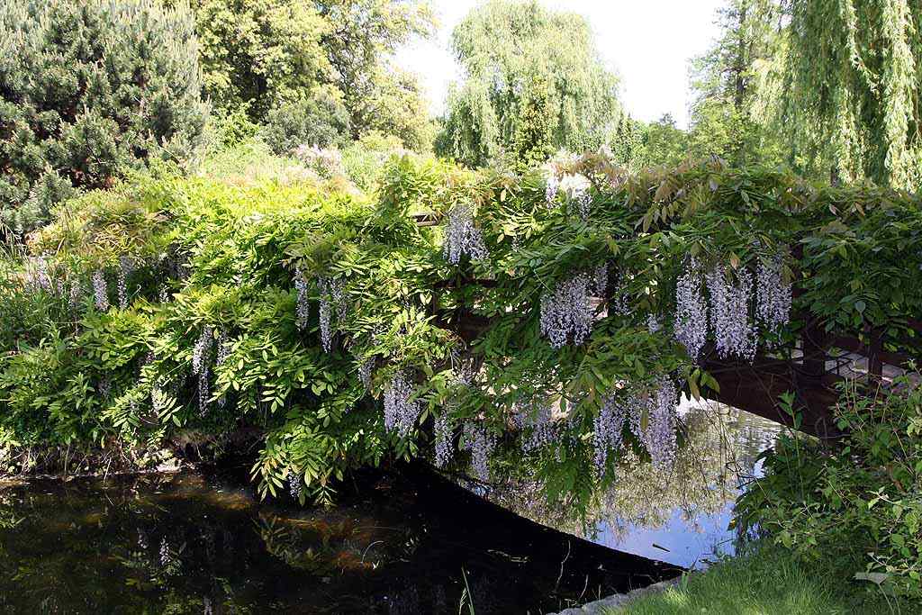 Regent Park, London