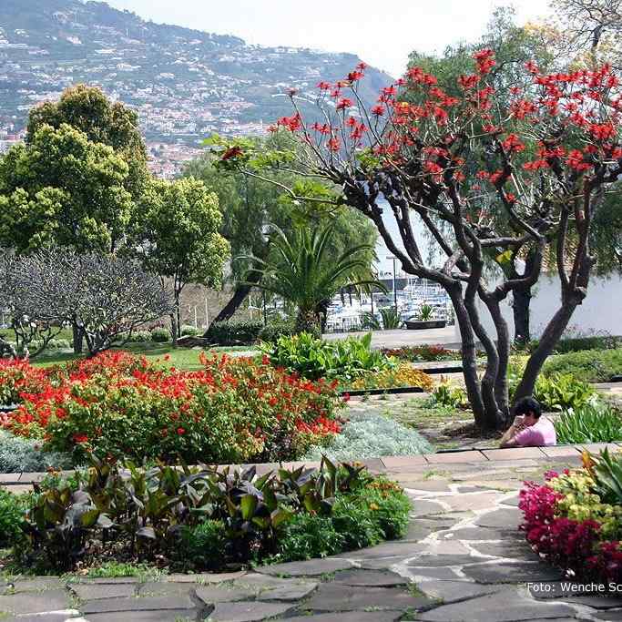 Parque de Santa Catarina / Quinta Vigia, Funchal – Madeira