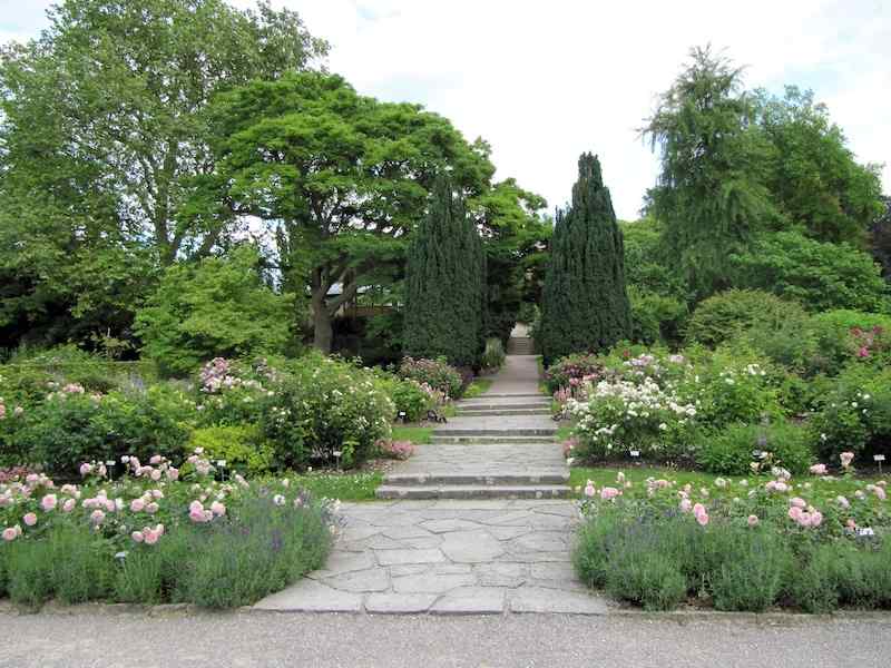 Botanisk hage, Visby - Gotland